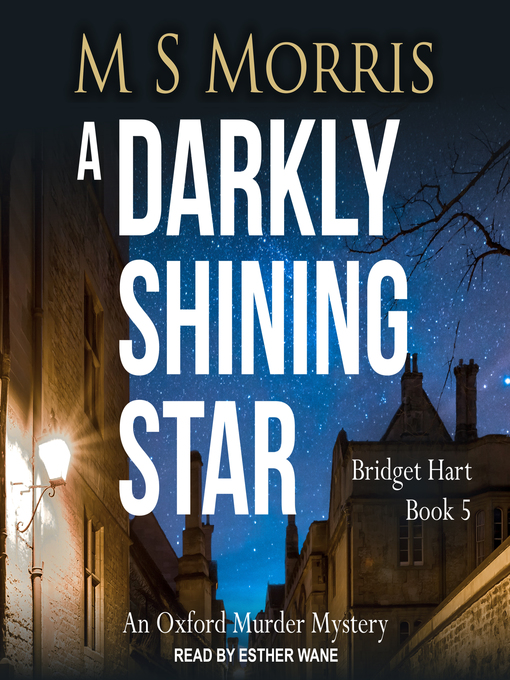 Title details for A Darkly Shining Star by M S Morris - Wait list